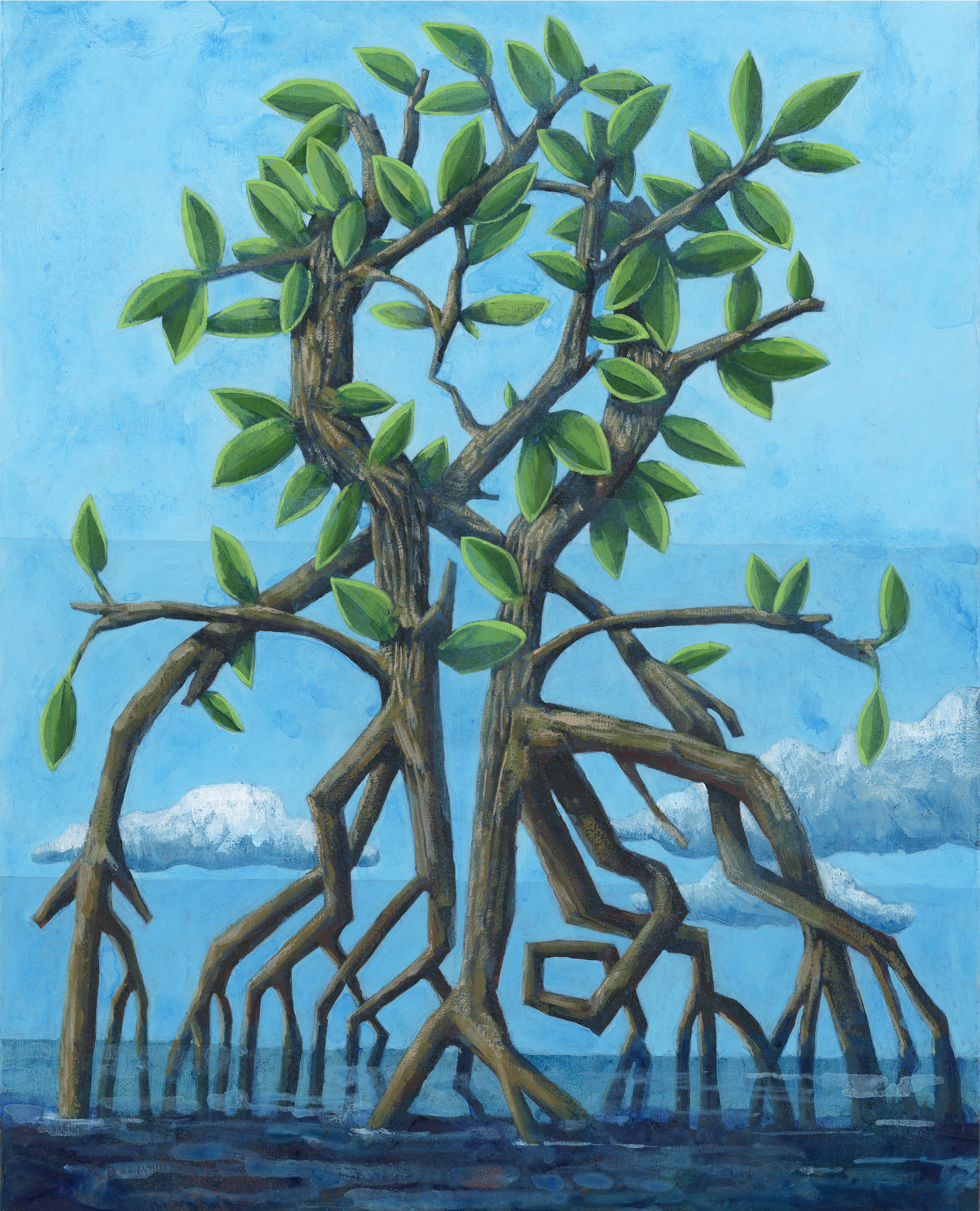 Mangrove, 11x14" (Framed)